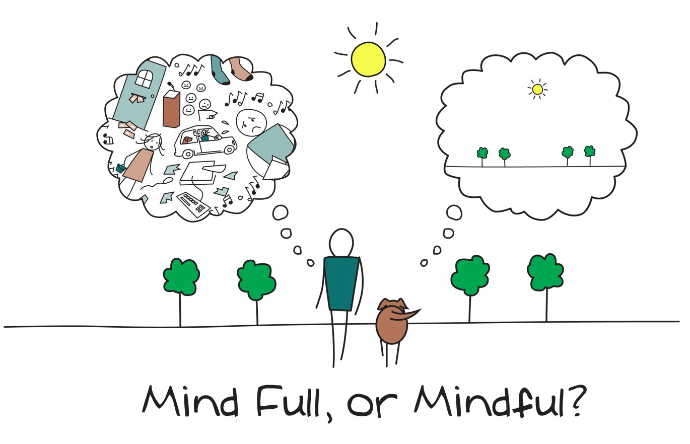 Mindfulness – cum putem privi viața cu alți ochi?